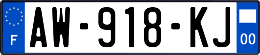 AW-918-KJ