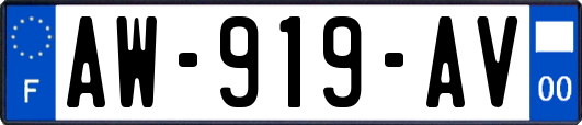 AW-919-AV