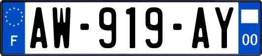AW-919-AY