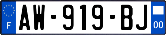 AW-919-BJ