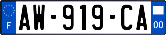 AW-919-CA