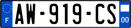 AW-919-CS