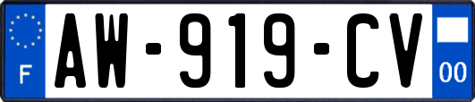AW-919-CV