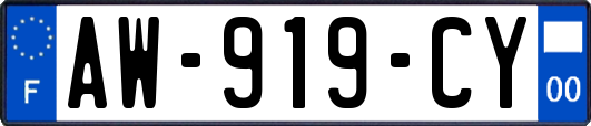 AW-919-CY