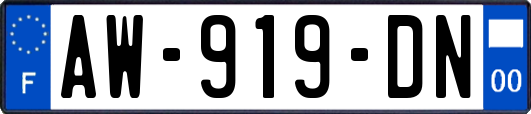 AW-919-DN