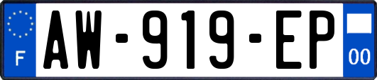 AW-919-EP