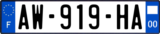 AW-919-HA
