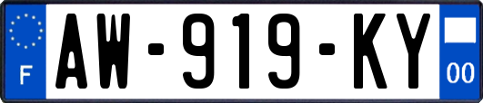 AW-919-KY