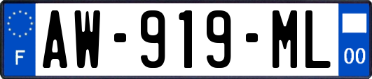 AW-919-ML