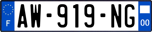 AW-919-NG