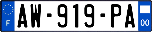 AW-919-PA
