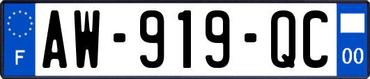 AW-919-QC