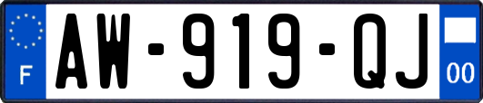 AW-919-QJ