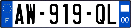 AW-919-QL