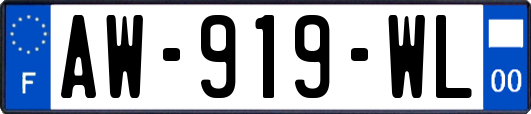 AW-919-WL