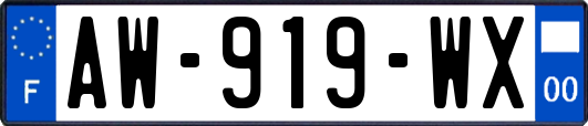 AW-919-WX