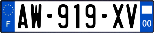 AW-919-XV