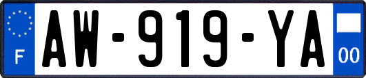 AW-919-YA