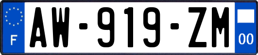 AW-919-ZM