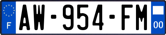 AW-954-FM