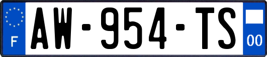 AW-954-TS