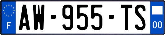 AW-955-TS