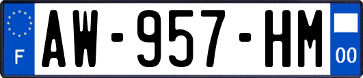 AW-957-HM