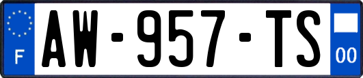 AW-957-TS