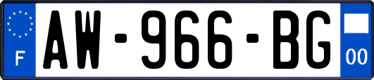 AW-966-BG