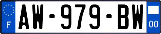 AW-979-BW