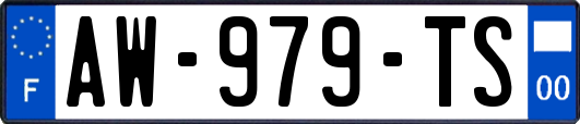 AW-979-TS