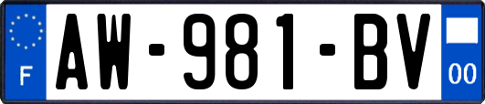 AW-981-BV
