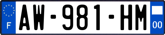 AW-981-HM