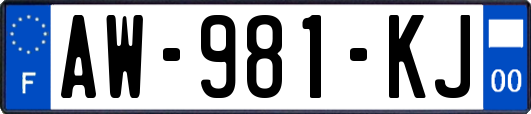 AW-981-KJ