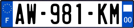 AW-981-KM