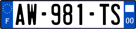 AW-981-TS