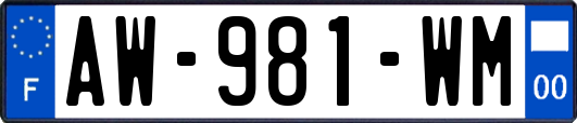 AW-981-WM