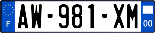 AW-981-XM