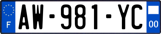 AW-981-YC