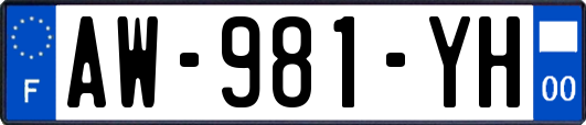 AW-981-YH