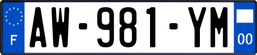 AW-981-YM