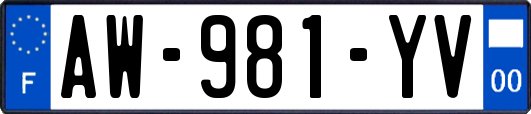 AW-981-YV