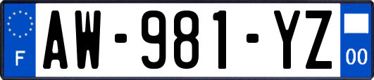 AW-981-YZ