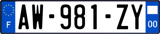 AW-981-ZY
