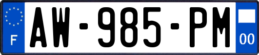 AW-985-PM