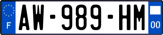 AW-989-HM
