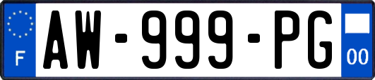 AW-999-PG