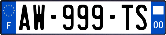 AW-999-TS