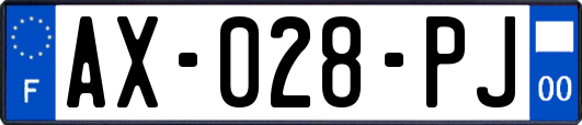 AX-028-PJ