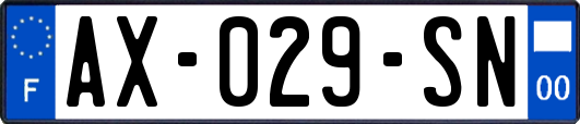 AX-029-SN